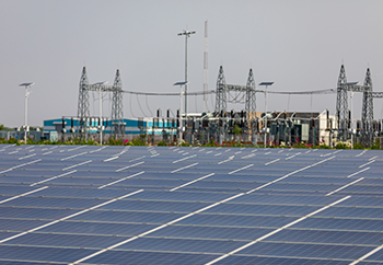 Consulting & Support