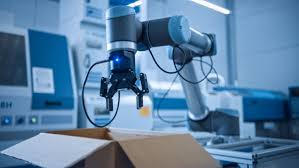 Consultancy & Advisory